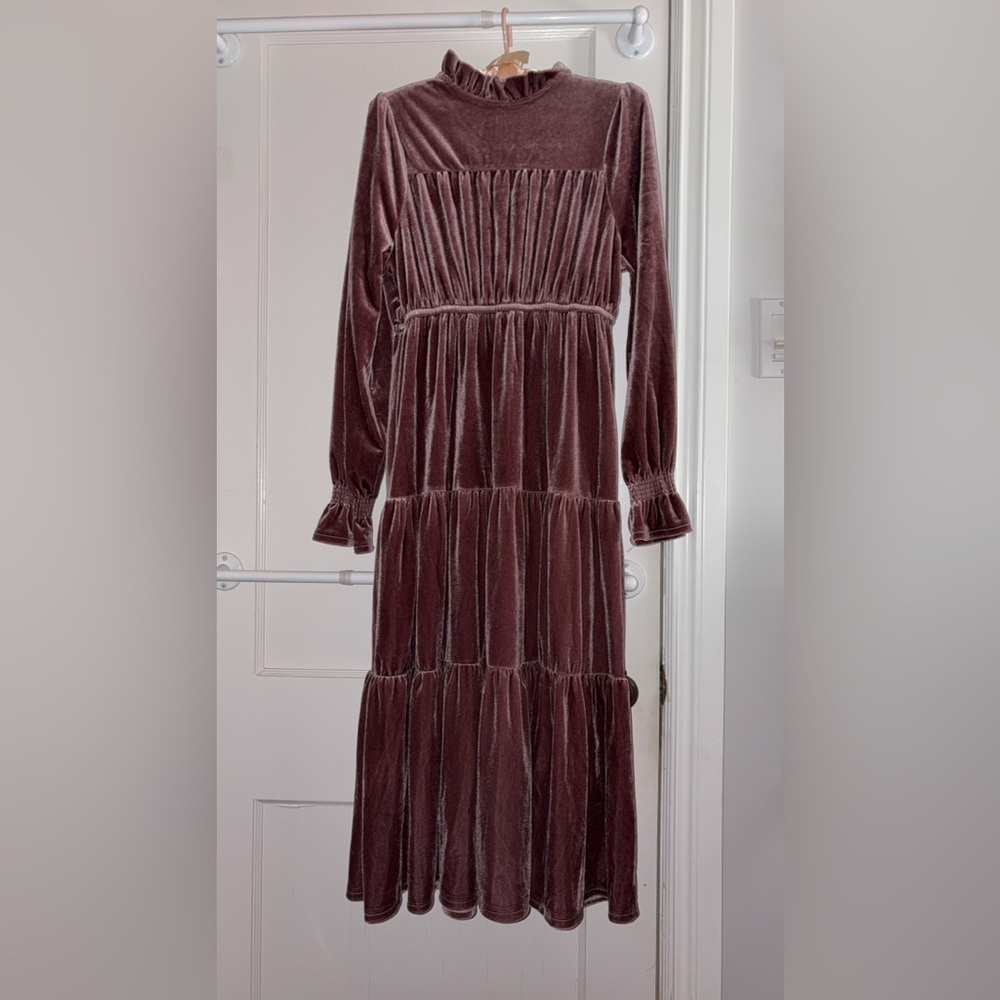 Elegant Velvet Long Sleeve Dress in Mauve